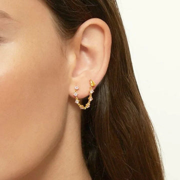 Rose Piercings